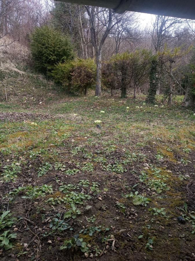 Holiday Home Nature Plesivica Ястребарско Экстерьер фото