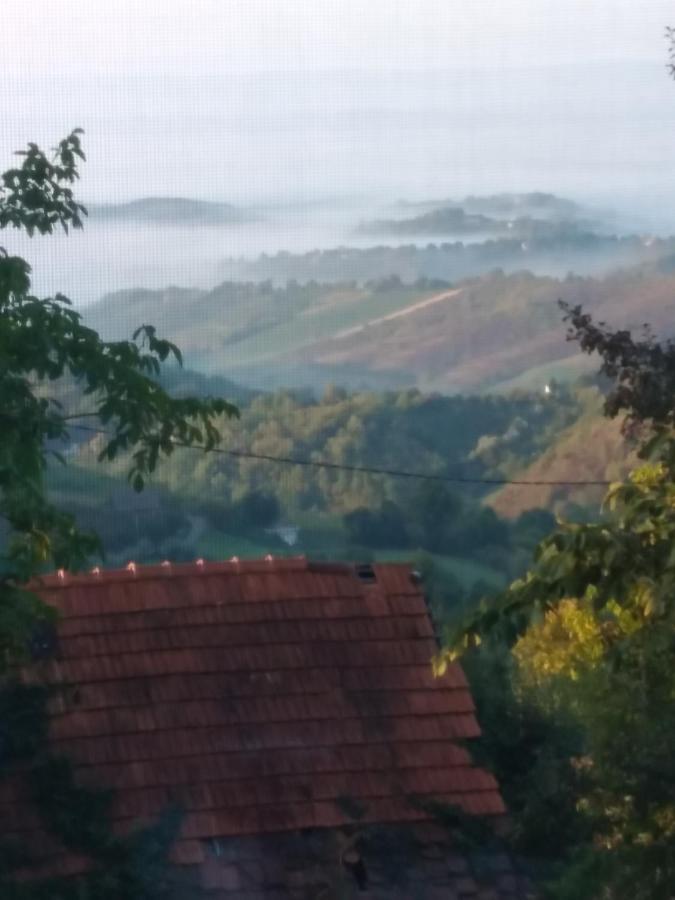 Holiday Home Nature Plesivica Ястребарско Экстерьер фото